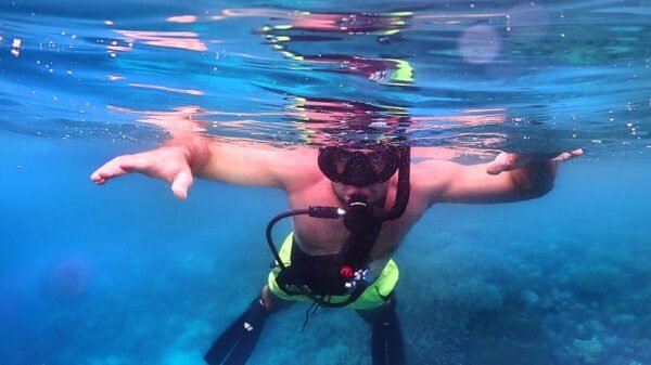 diving gear oceanic shop usa