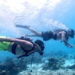 Top 10 Must-Have Scuba Diving Equipment for Beginners